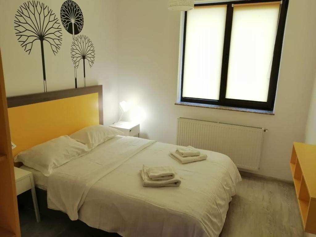 Cozy Accommodation Central City - Iasi Exterior photo
