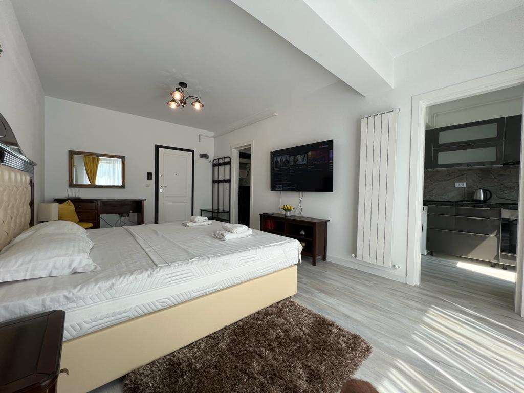 Cozy Accommodation Central City - Iasi Exterior photo